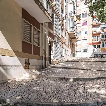 Akicity Campolide Targa *